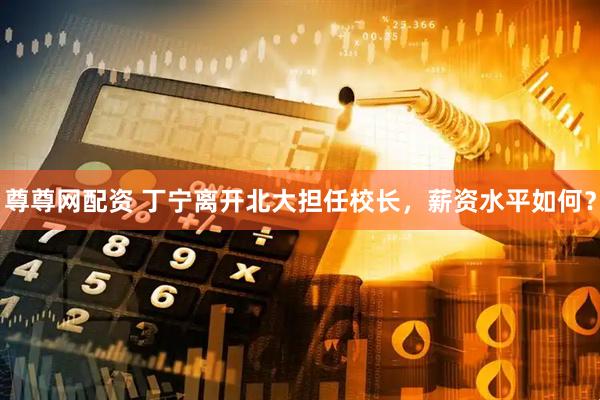 尊尊网配资 丁宁离开北大担任校长，薪资水平如何？